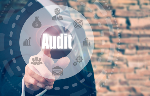 [AUDO] Audit Organisationnel